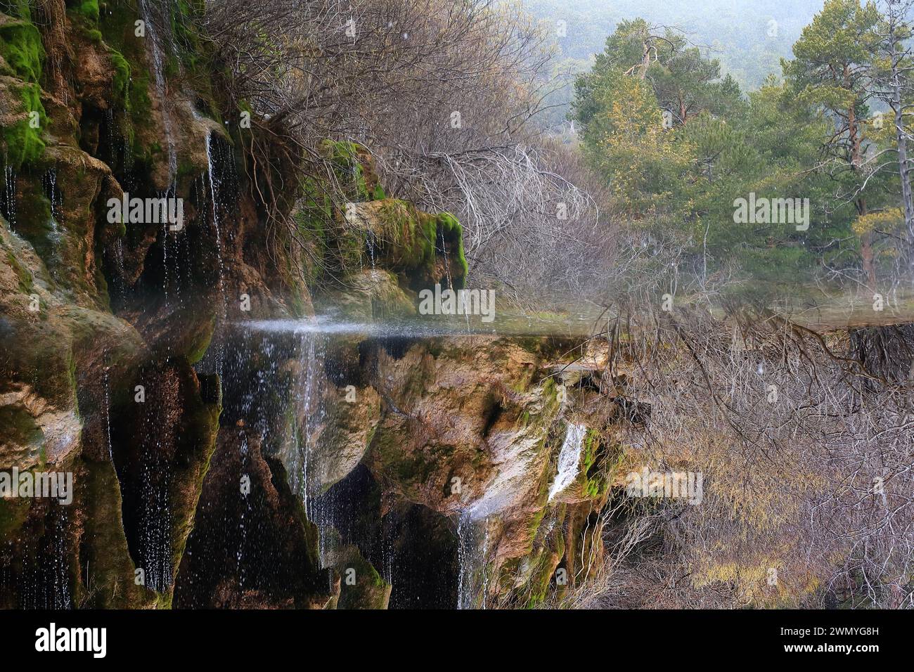 Water cascades over mossy rocks at the source of the Cuervo River in Cuenca, framed by a woodland backdrop Stock Photo
