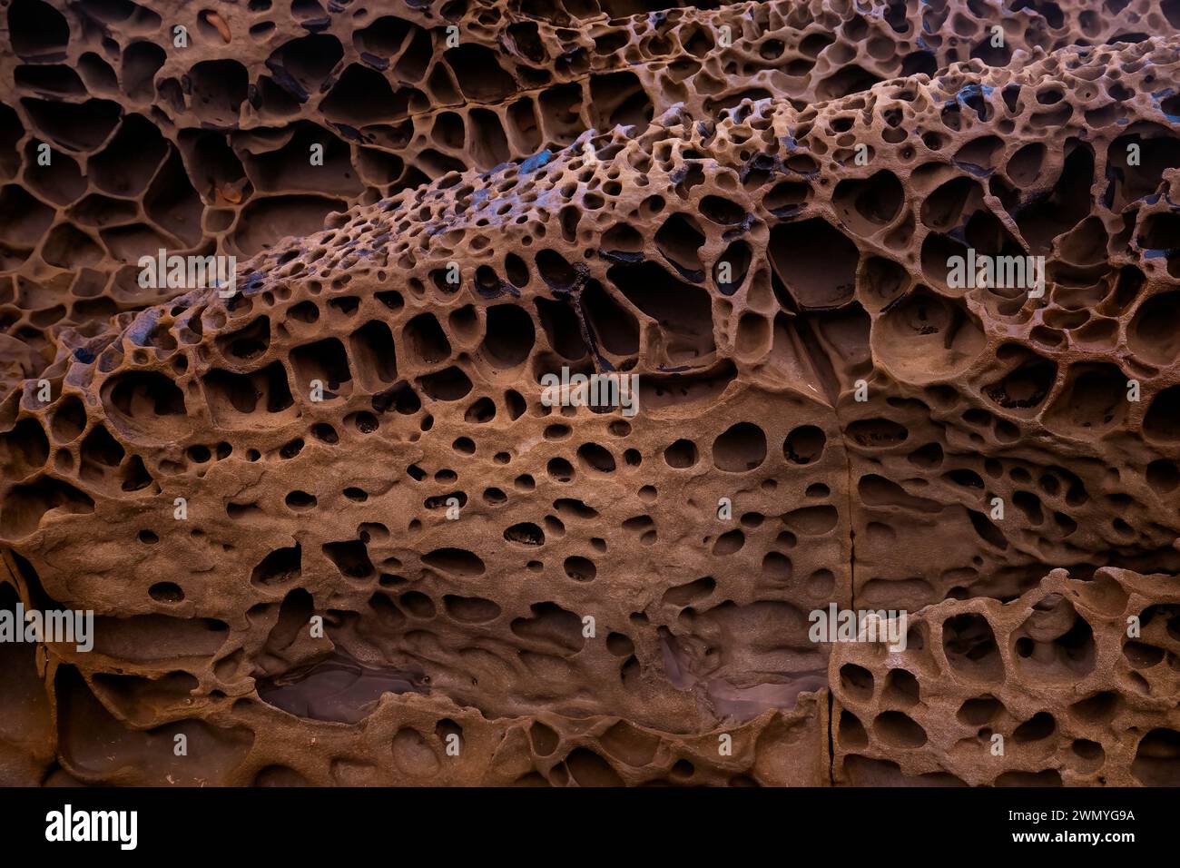 The image captures the intricate erosional patterns of rocks coated with biofilm bacteria at the beach of the old mine of Llumeres in Asturias, showca Stock Photo