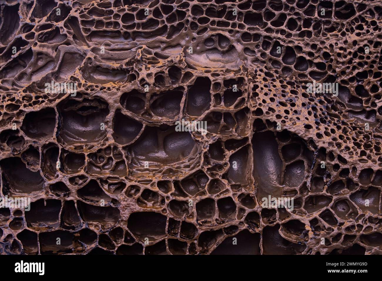 This image features close-up textures of biogenic rock formations due to biofilm bacteria found in iron-rich areas at Llumeres beach in Asturias. Stock Photo