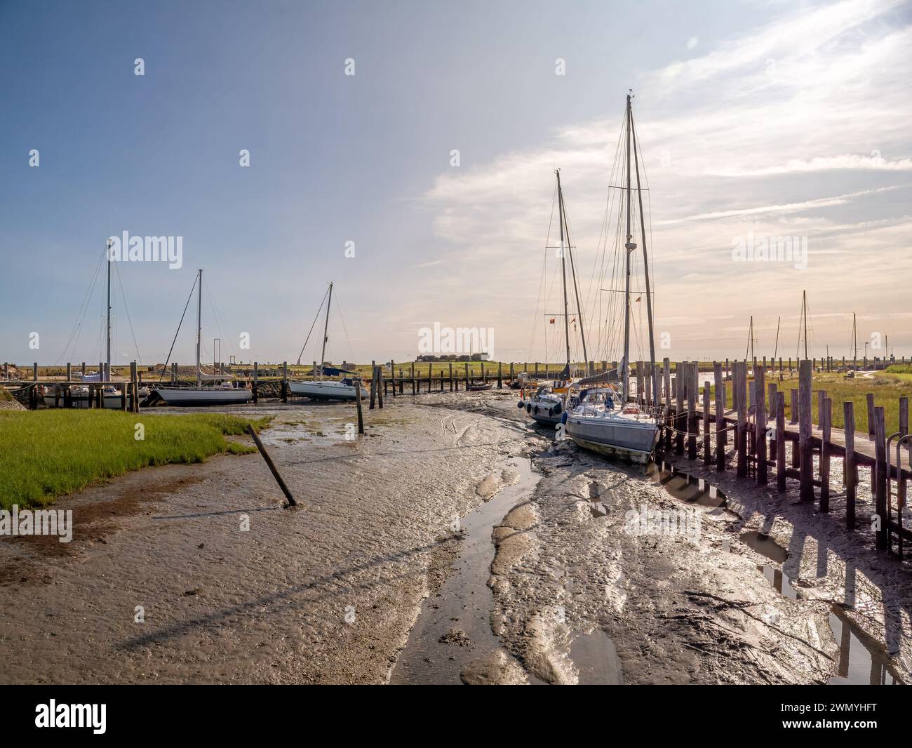 Sailboats in mud at low tide in harbour of Hooge hallig, North Frisian Islands, Schleswig-Holstein, Germany Stock Photo