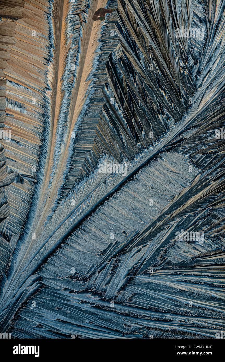 Close-up of textured frost patterns resembling feathers on a dark surface Stock Photo