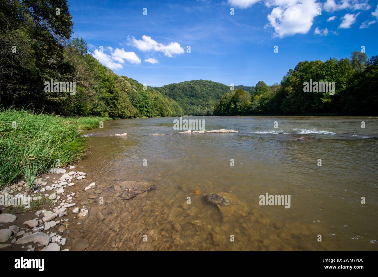 Shallow river with stones, San river valley in Bieszczady mountains, low mountain ridges covered with forest, late summer Stock Photo