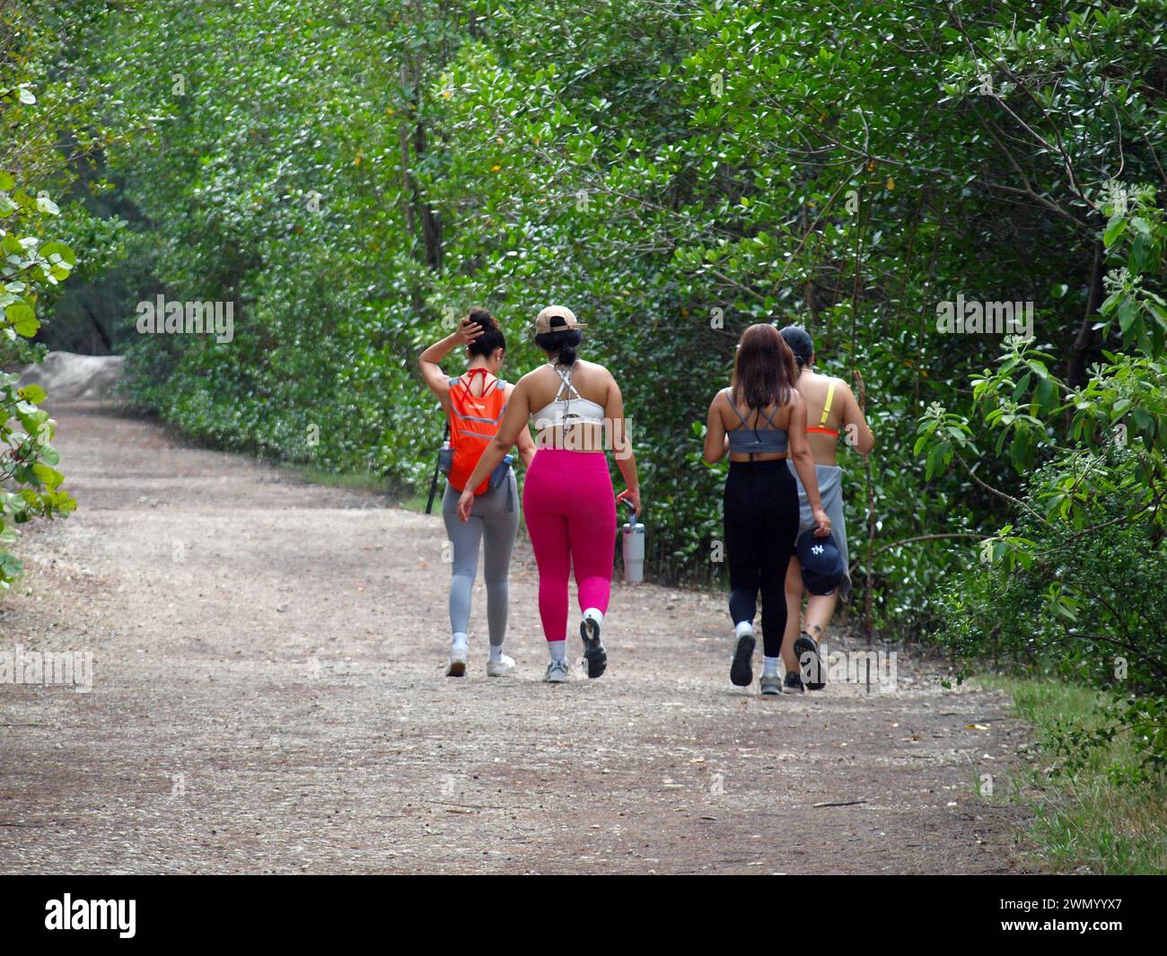 Miami, Florida, United States - January 27, 2024: Young ladies hiking in a trail (Oleta River State Park). Stock Photo