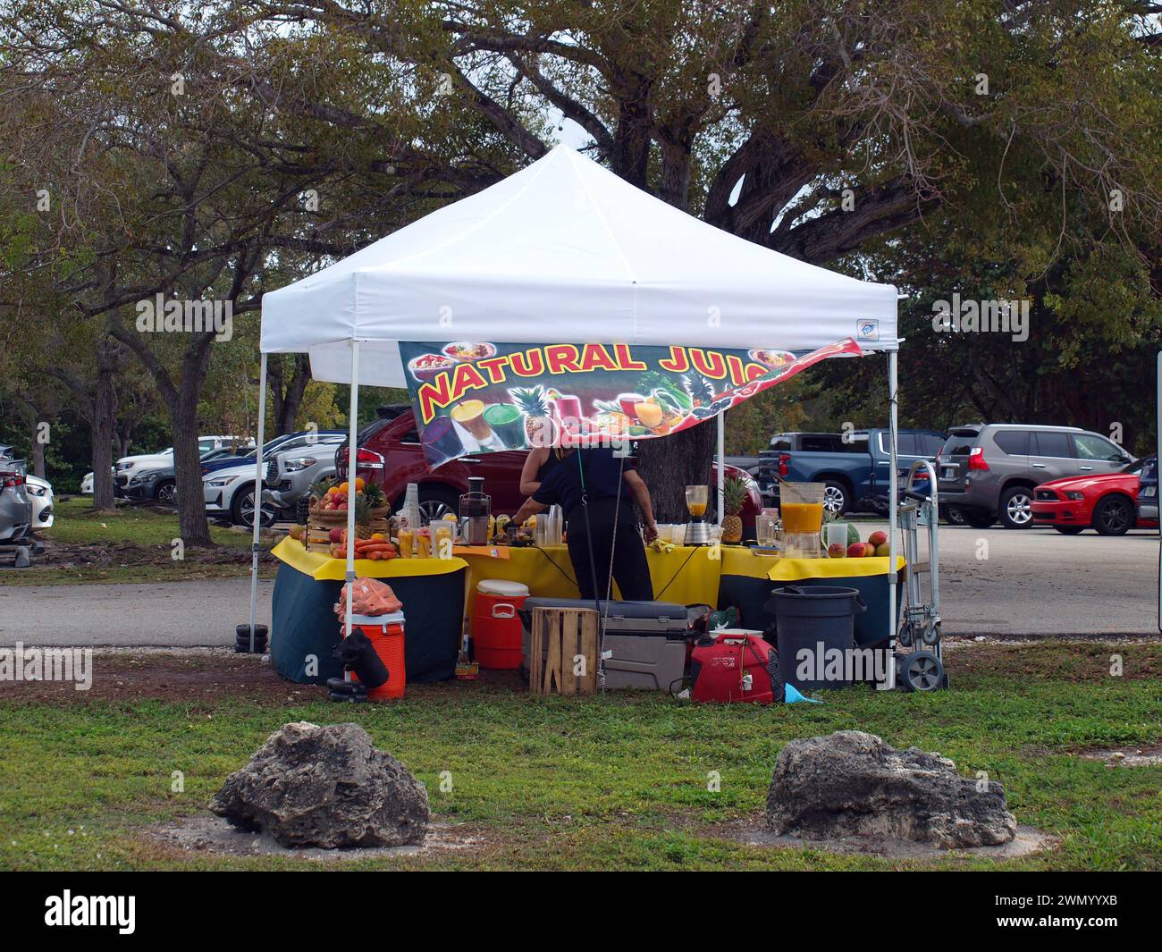 Miami, Florida, United States - January 27, 2024: Seller of natural juices and smoothies in Oleta River State Park. Stock Photo