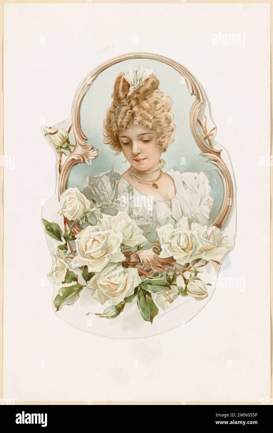 Woman's portrait enframed with white roses. Woman's portrait enframed ...