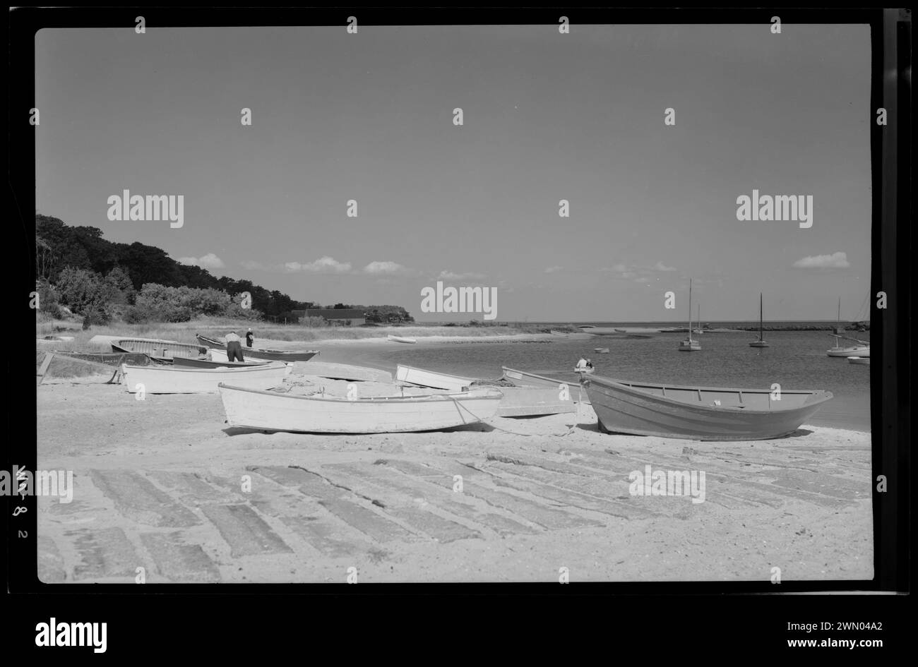 The water's edge, Martha's Vineyard. The water's edge, Martha's