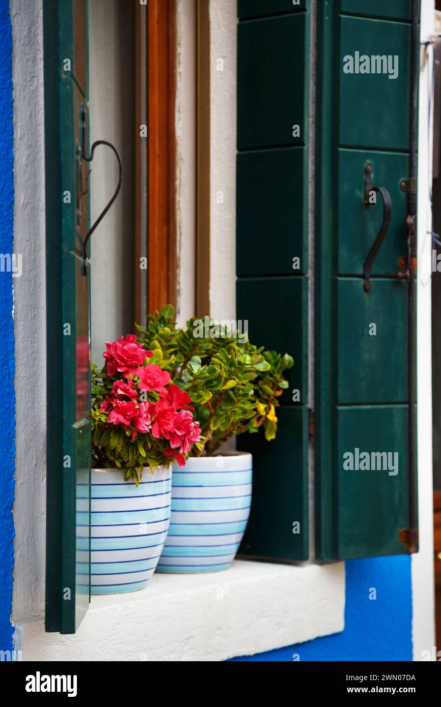 Picturesque colorful wooden old style window with green shutters and ...