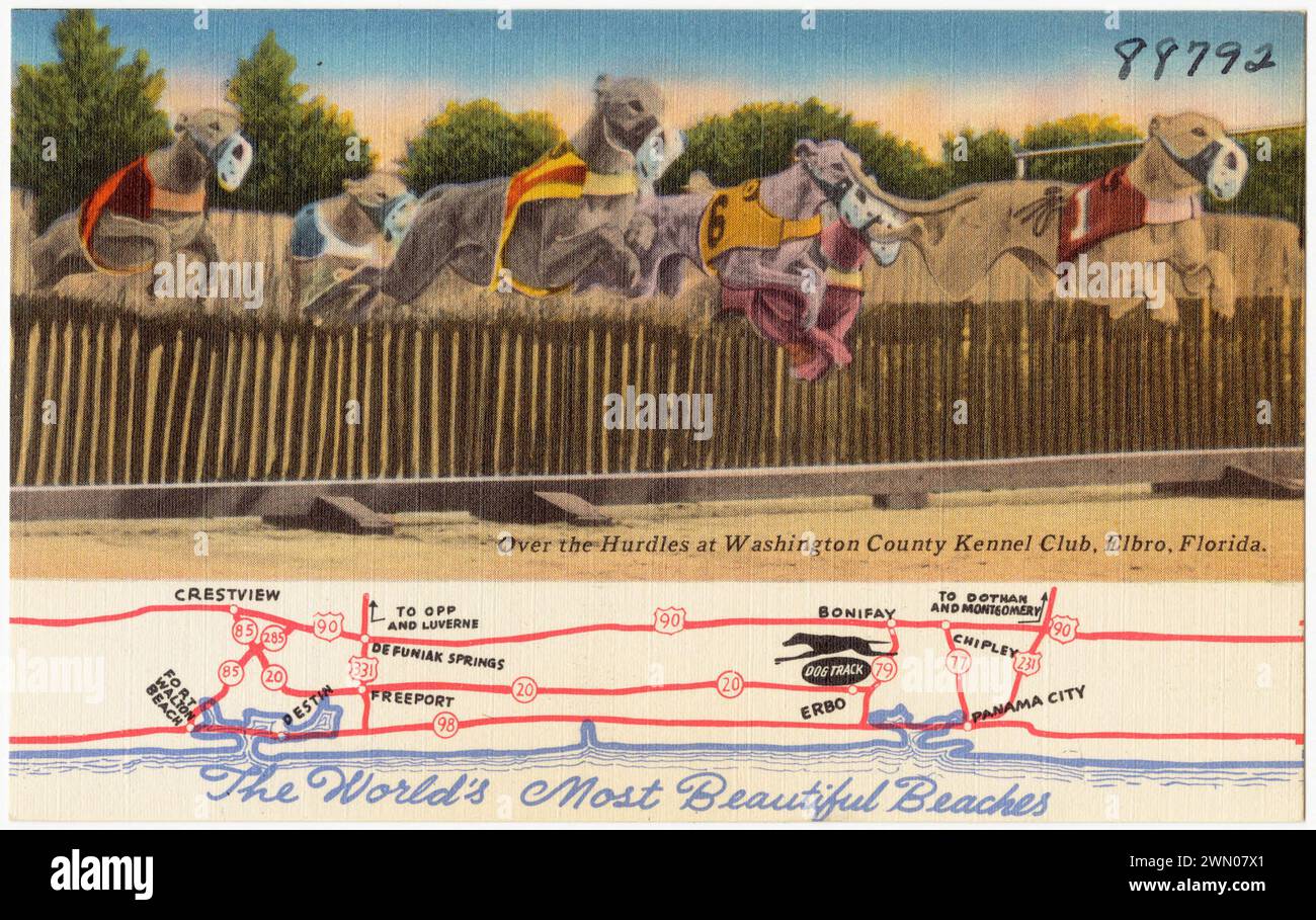 The world's most beautiful beaches. Over the hurdles at Washington County Kennel Club, Elbro