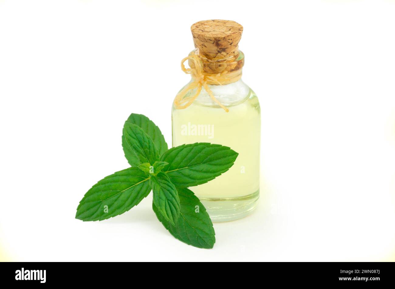 Glass bottle of peppermint essential oil with fresh green mint leaves isolated on white background Stock Photo