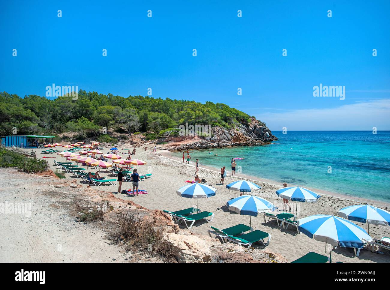 Cala Nova Beach Es Cana Ibiza Balearics Spain Stock Photo Alamy cala-nova-beach-es-cana-ibiza-balearics-spain-stock-photo-alamy