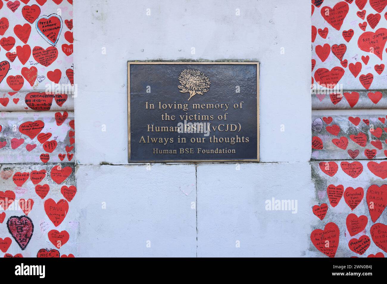 The National Covid Memorial Wall on Albert Embankment opposite the H of P, stretching 500 metres and remembering the UK's catastrophic loss of life. Stock Photo
