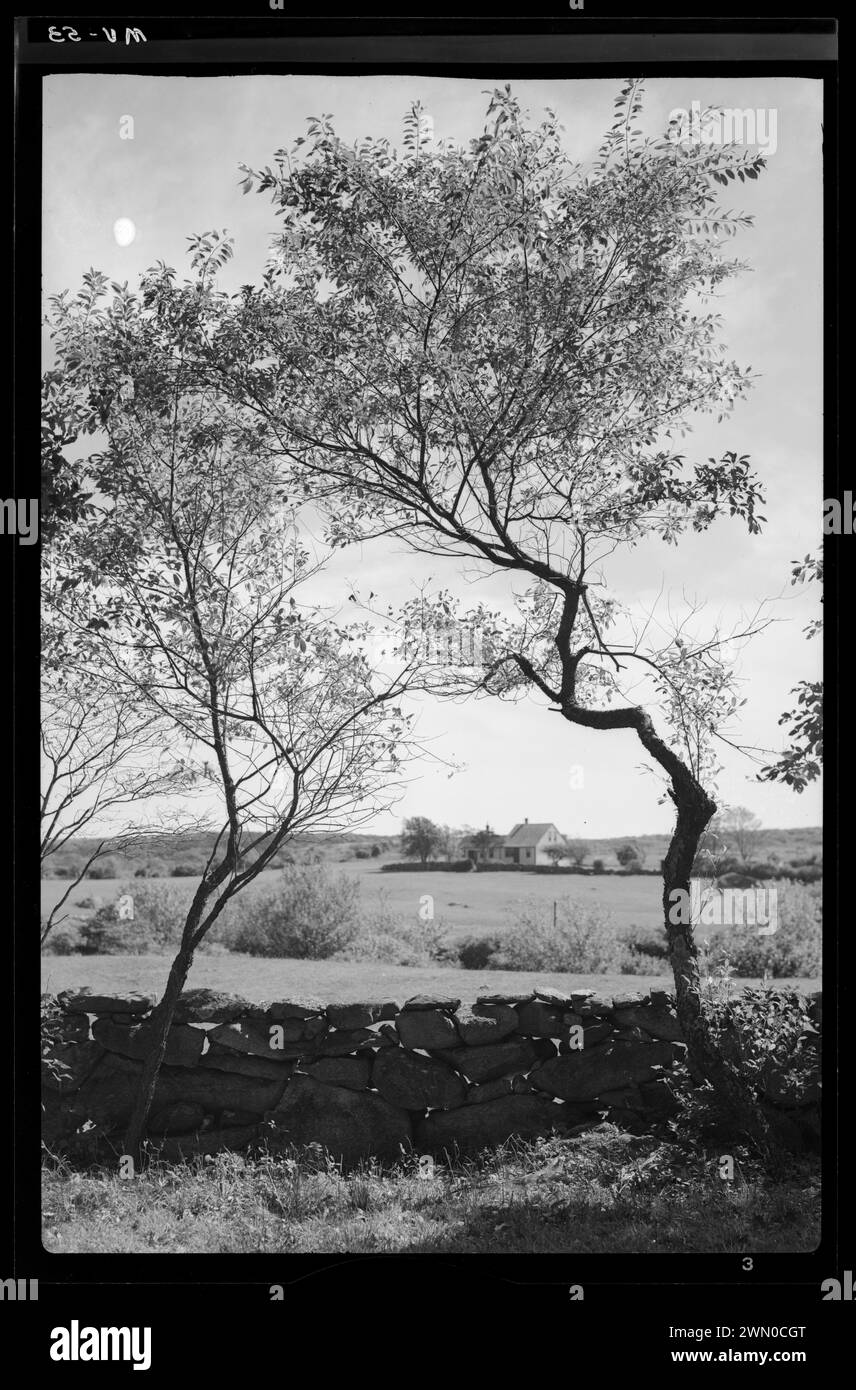 Chilmark silhouette, Martha's Vineyard. Chilmark silhouette, Martha's ...