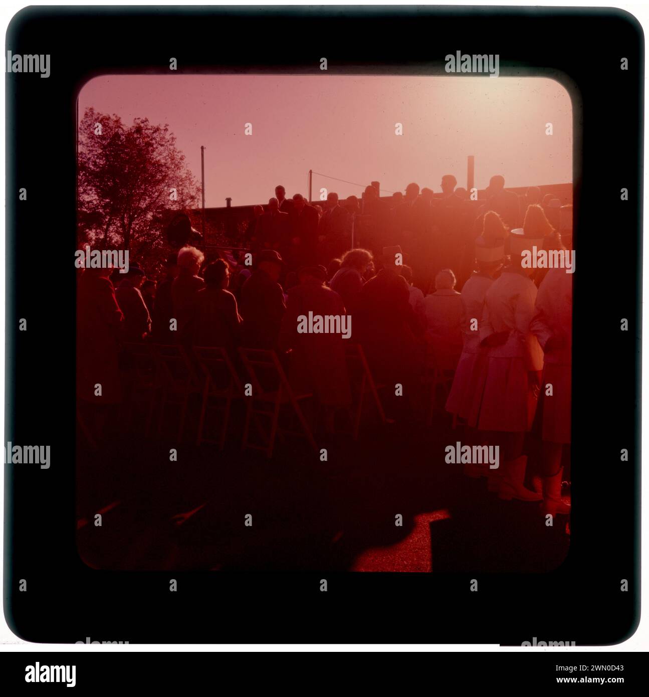 Dedication project. Dedication project Stock Photo - Alamy