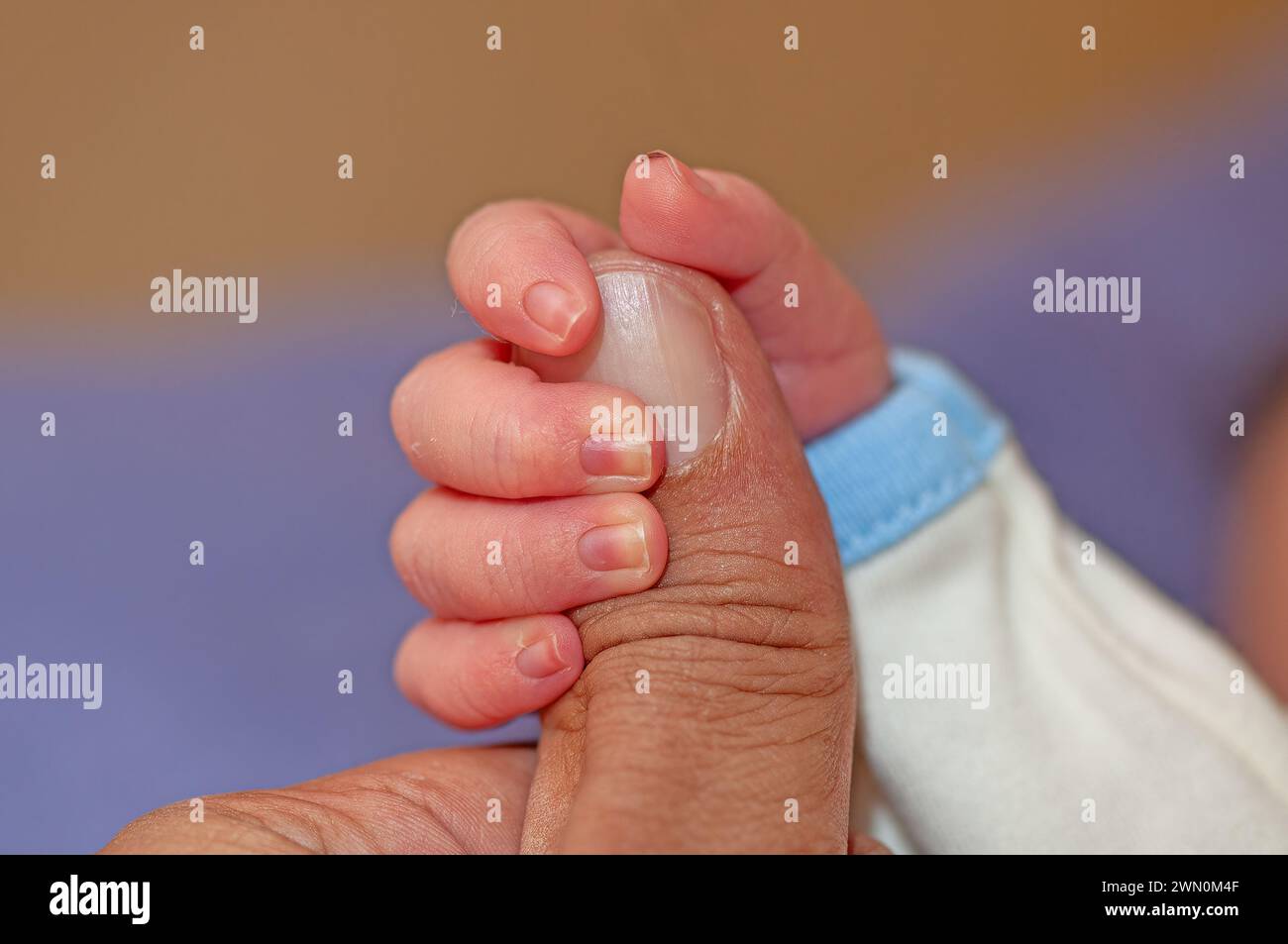 Close-up of a baby holding his father's finger. Stock Photo