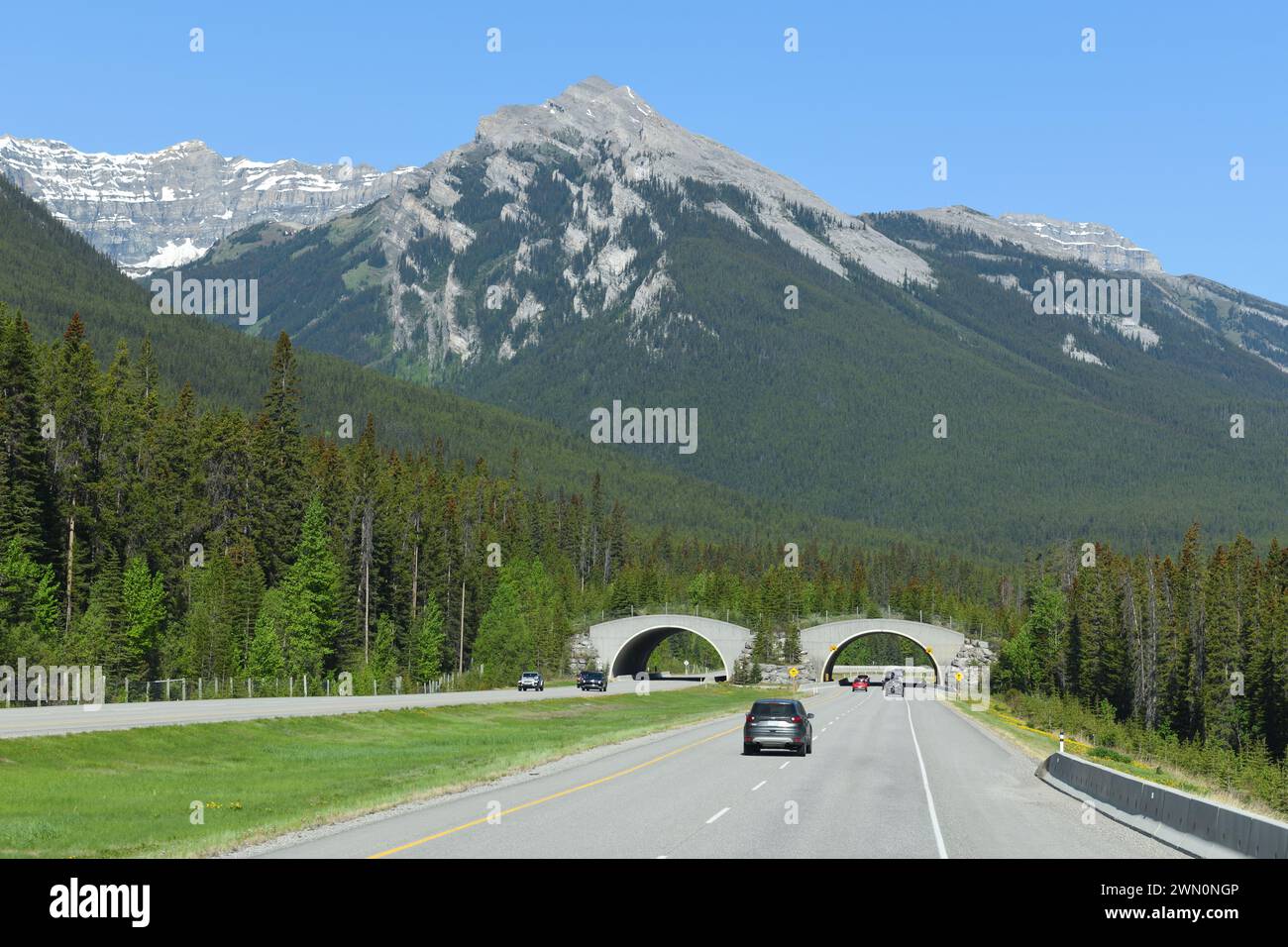 The Banff wildlife crossing spans the Trans Canada Highway providing a safe route for many animals Stock Photo