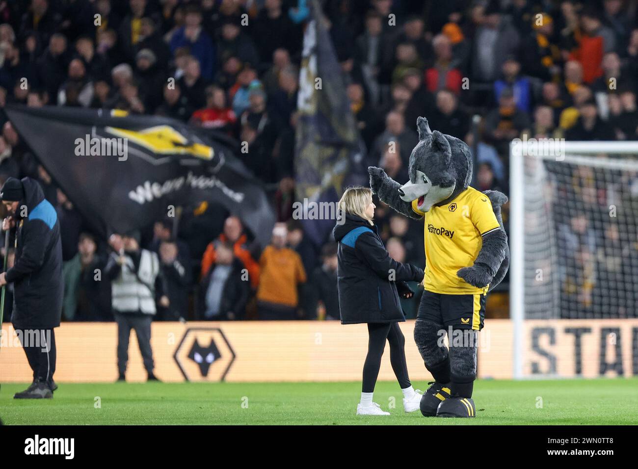 Wolverhampton, UK. 28th Feb, 2024. High fives from the Wolves' mascot ahead of kickoff during the FA Cup 5th Round match between Wolverhampton Wanderers and Brighton and Hove Albion at Molineux, Wolverhampton, England on 28 February 2024. Photo by Stuart Leggett. Editorial use only, license required for commercial use. No use in betting, games or a single club/league/player publications. Credit: UK Sports Pics Ltd/Alamy Live News Stock Photo