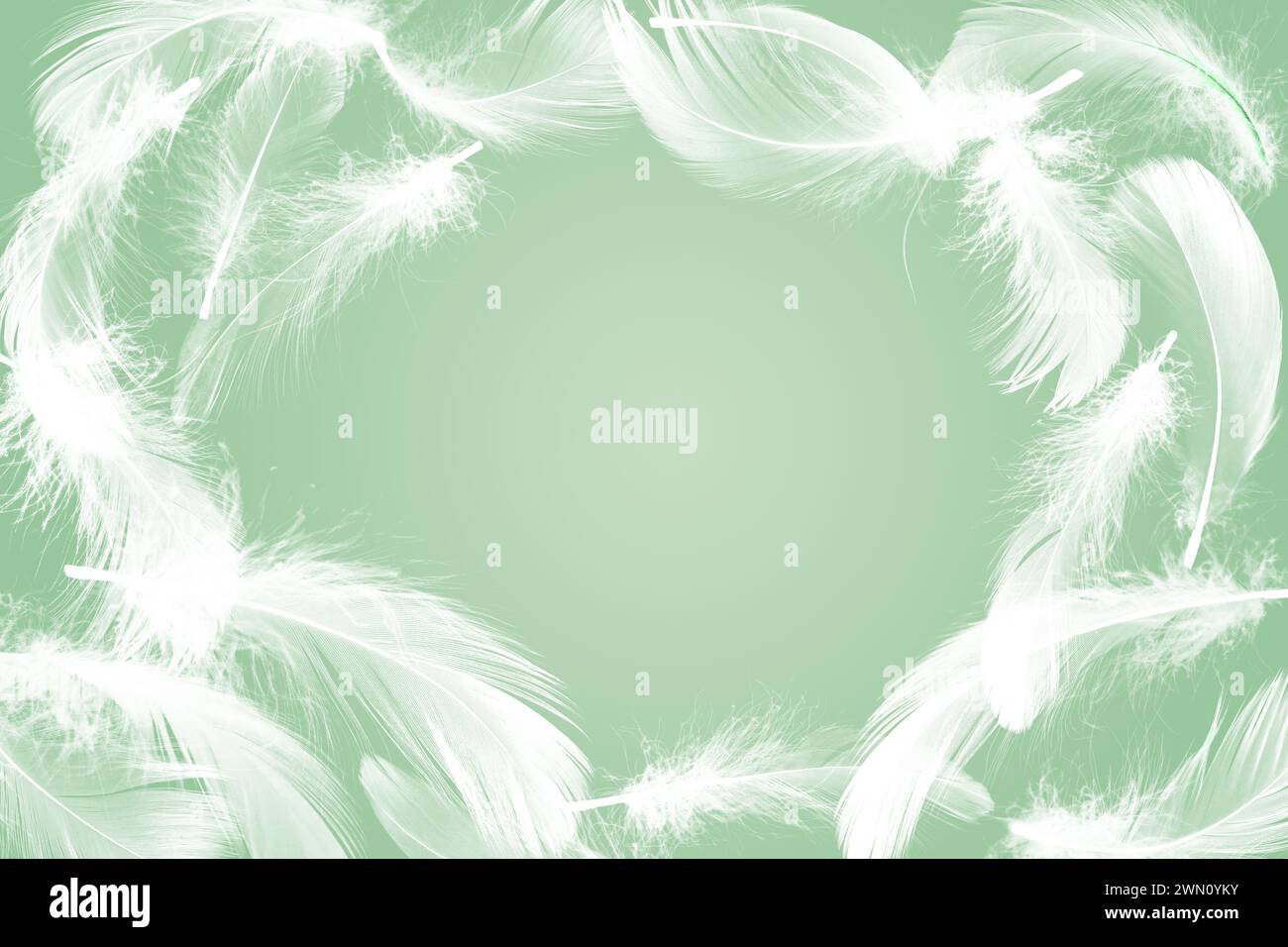Fluffy bird feathers in air on green background, space for text Stock ...