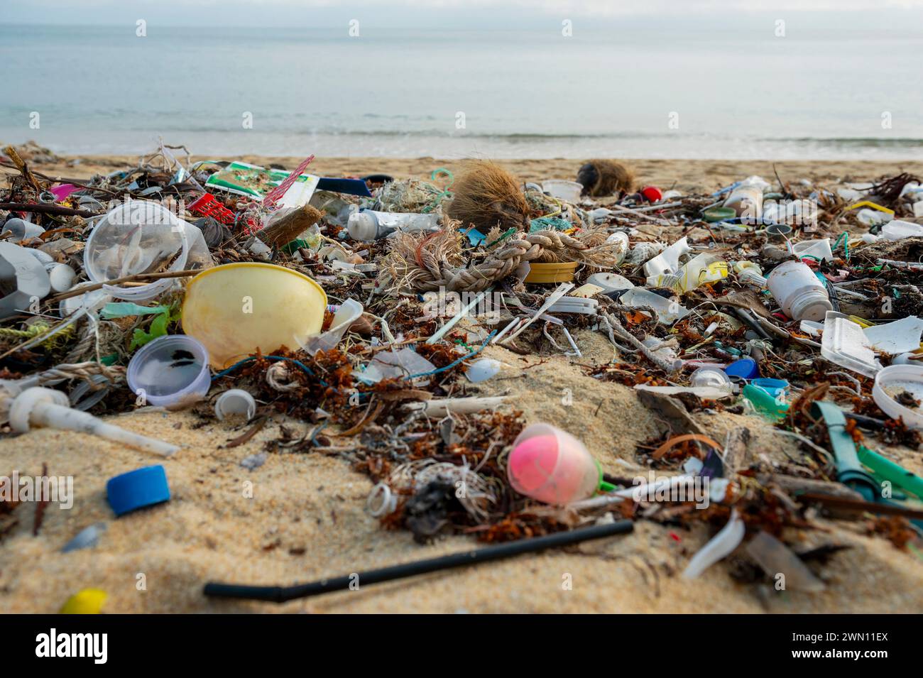 Koh Samui, Thailand - 19 January, 2024: A deserted beach, littered with ...