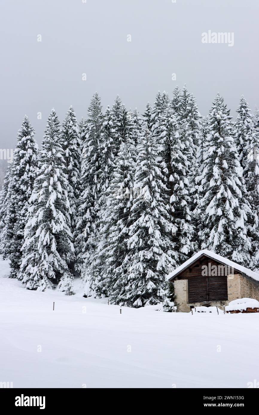 Winterliche Stimmung mit verschneitem Stall Stock Photo