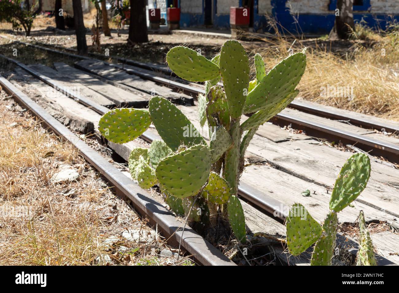 Southern railroad hi-res stock photography and images - Alamy
