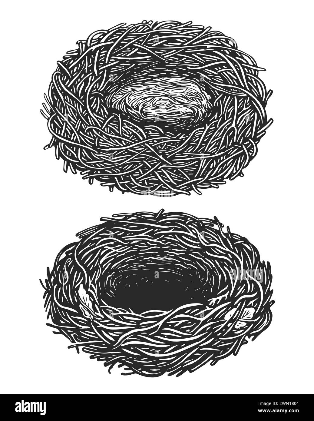 Empty bird nest. Hand drawn sketch vintage vector illustration Stock Vector