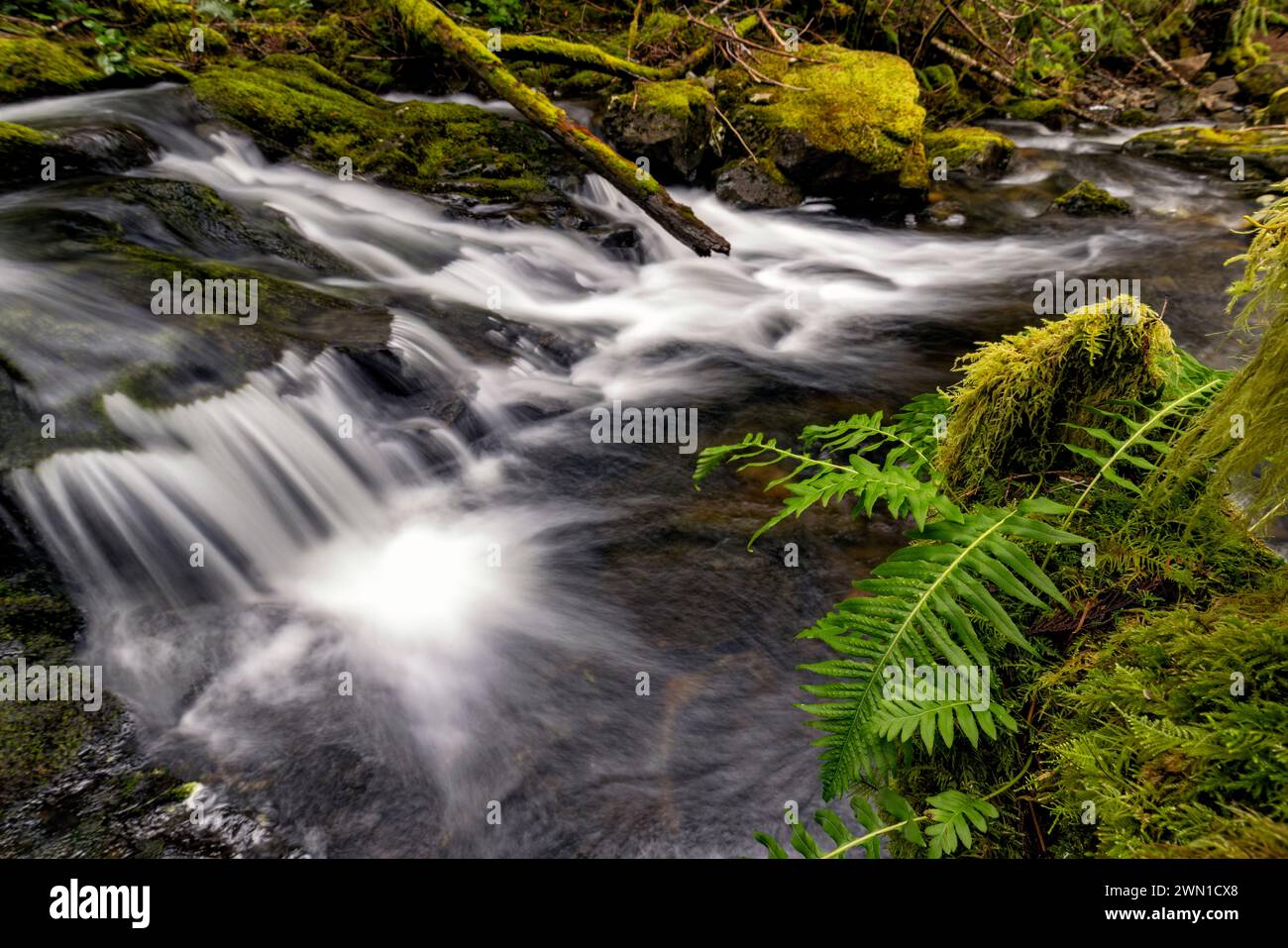 Mary Vine Creek - Sooke, Vancouver Island, British Columbia, Canada Stock Photo