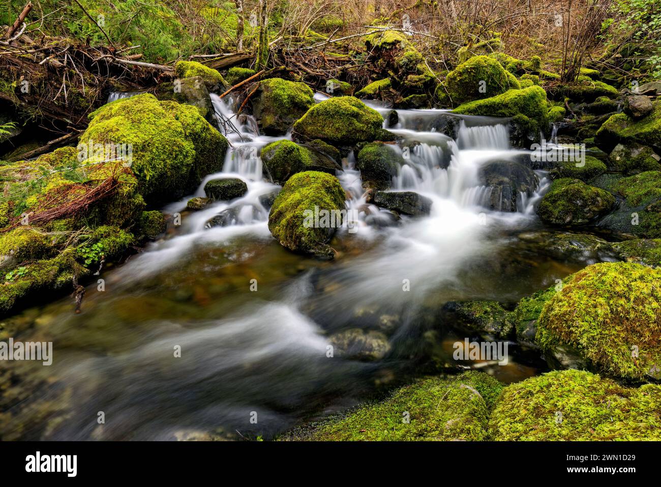 Mary Vine Creek - Sooke, Vancouver Island, British Columbia, Canada Stock Photo