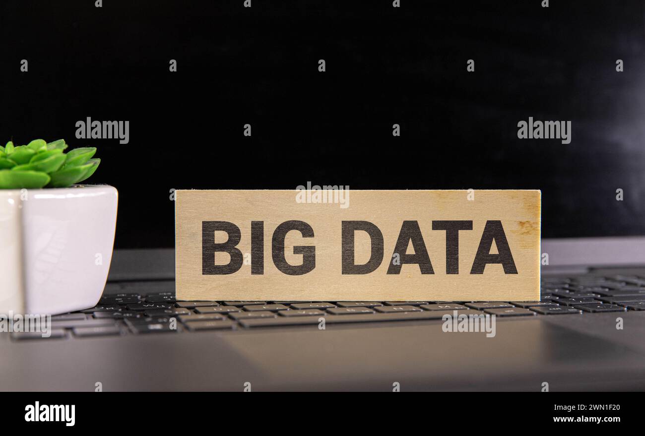 Wooden cubes spelling Big Data. Tech concept. Stock Photo