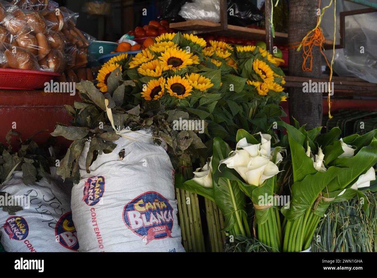 Flowers for sale in the Mercado Benito Juarez market in Puerto Escondido, Oaxaca, Mexico Stock Photo