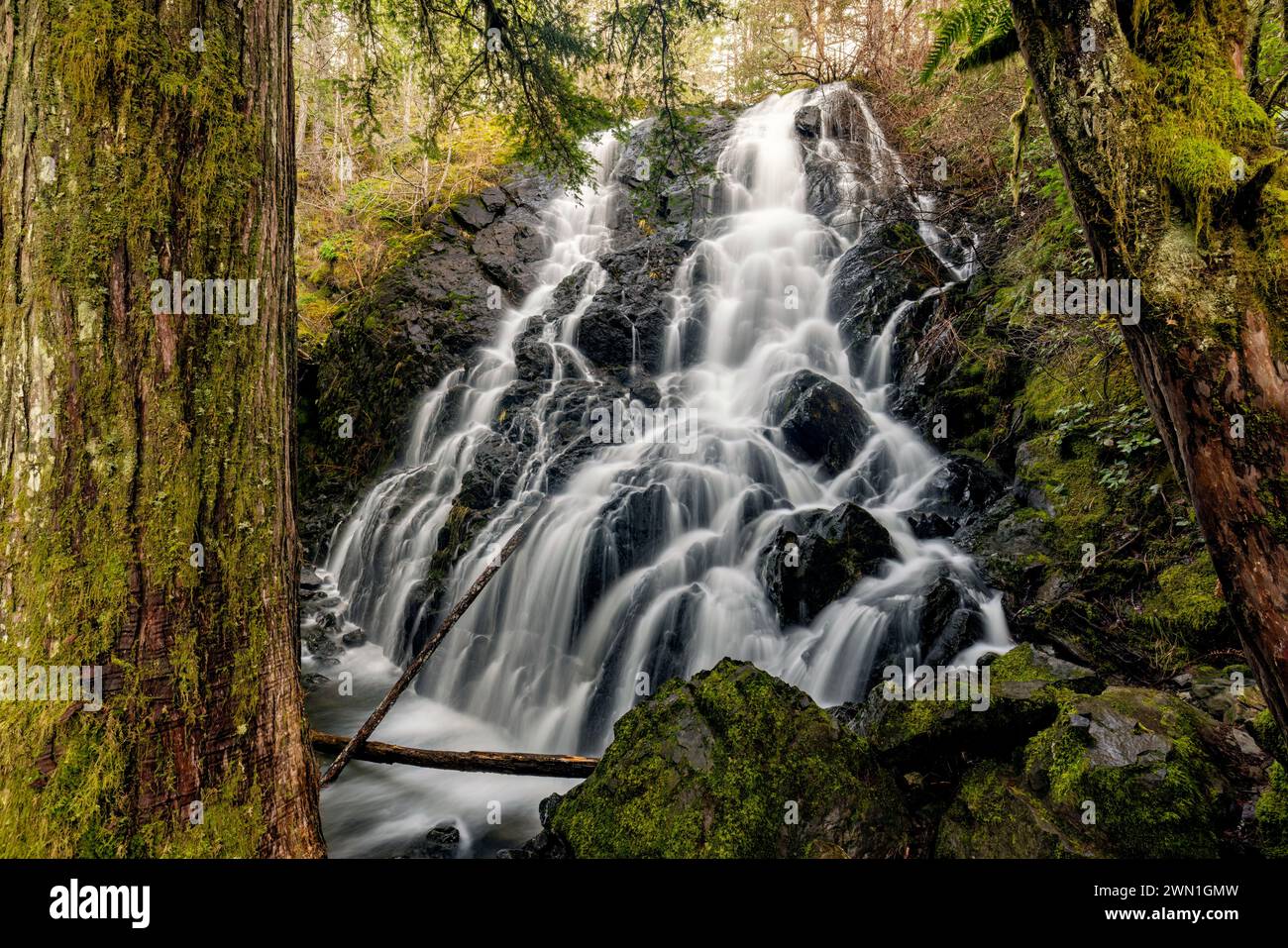 Mary Vine Creek Falls - Sooke, Vancouver Island, British Columbia, Canada Stock Photo