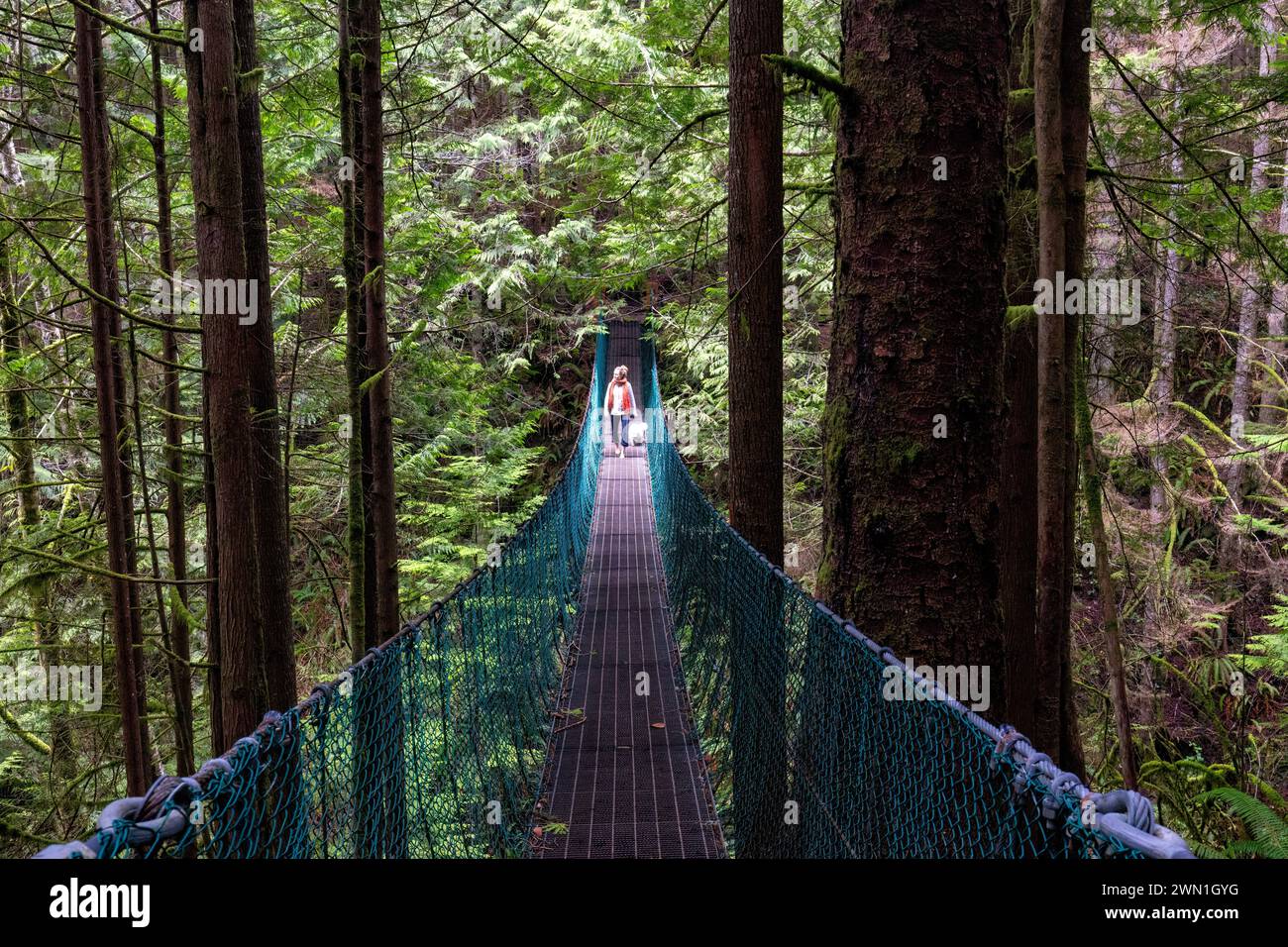 Female hiker with dog on suspension bridge over Pete Wolfe Creek on trail to Mystic Beach - Sooke, Vancouver Island, British Columbia, Canada Stock Photo
