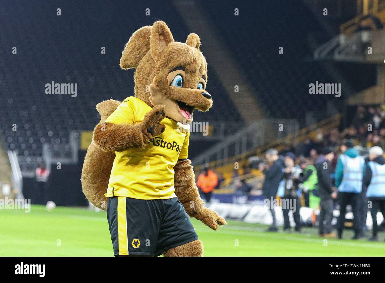Wolverhampton, UK. 28th Feb, 2024. Wolves' mascot ahead of kick off during the FA Cup 5th Round match between Wolverhampton Wanderers and Brighton and Hove Albion at Molineux, Wolverhampton, England on 28 February 2024. Photo by Stuart Leggett. Editorial use only, license required for commercial use. No use in betting, games or a single club/league/player publications. Credit: UK Sports Pics Ltd/Alamy Live News Stock Photo