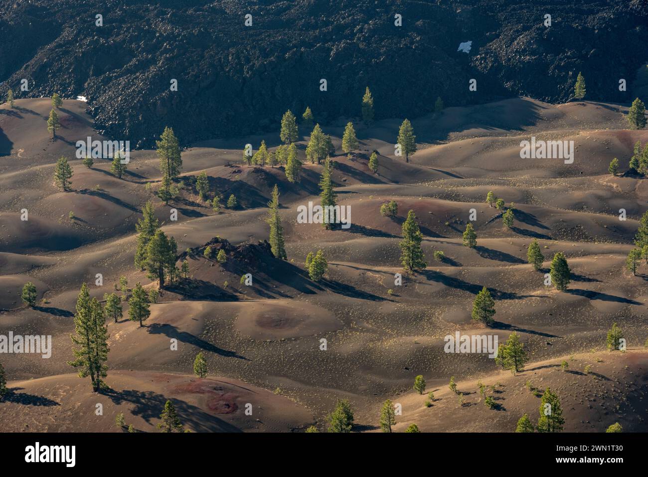 Pine Trees Dot The Rippling Hills Of The Fantastic Lava Beds in Lassen