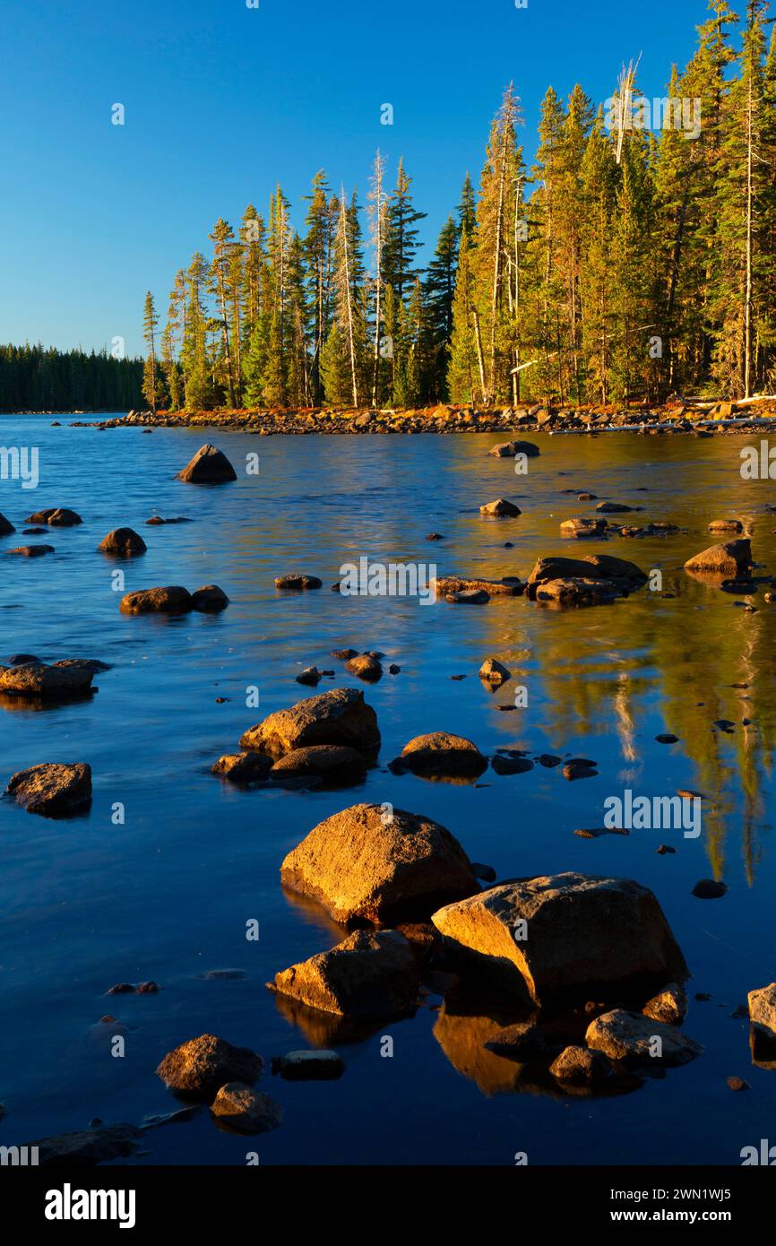 Waldo Lake from Shoreline Trail, Waldo Lake State Scenic Waterway, Willamette National Forest, Oregon Stock Photo