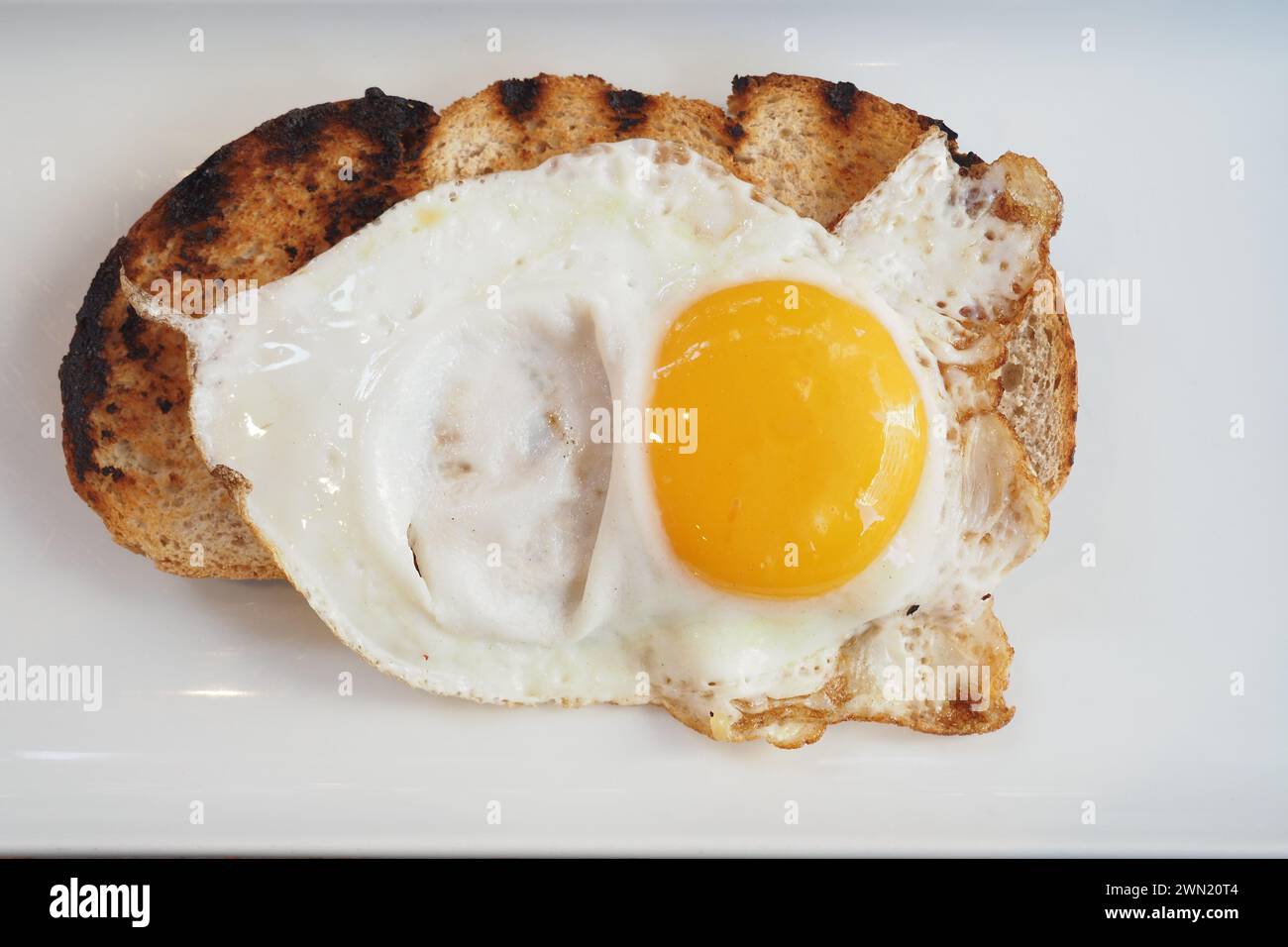 fried egg on a toast on a plate on a white background Stock Photo - Alamy