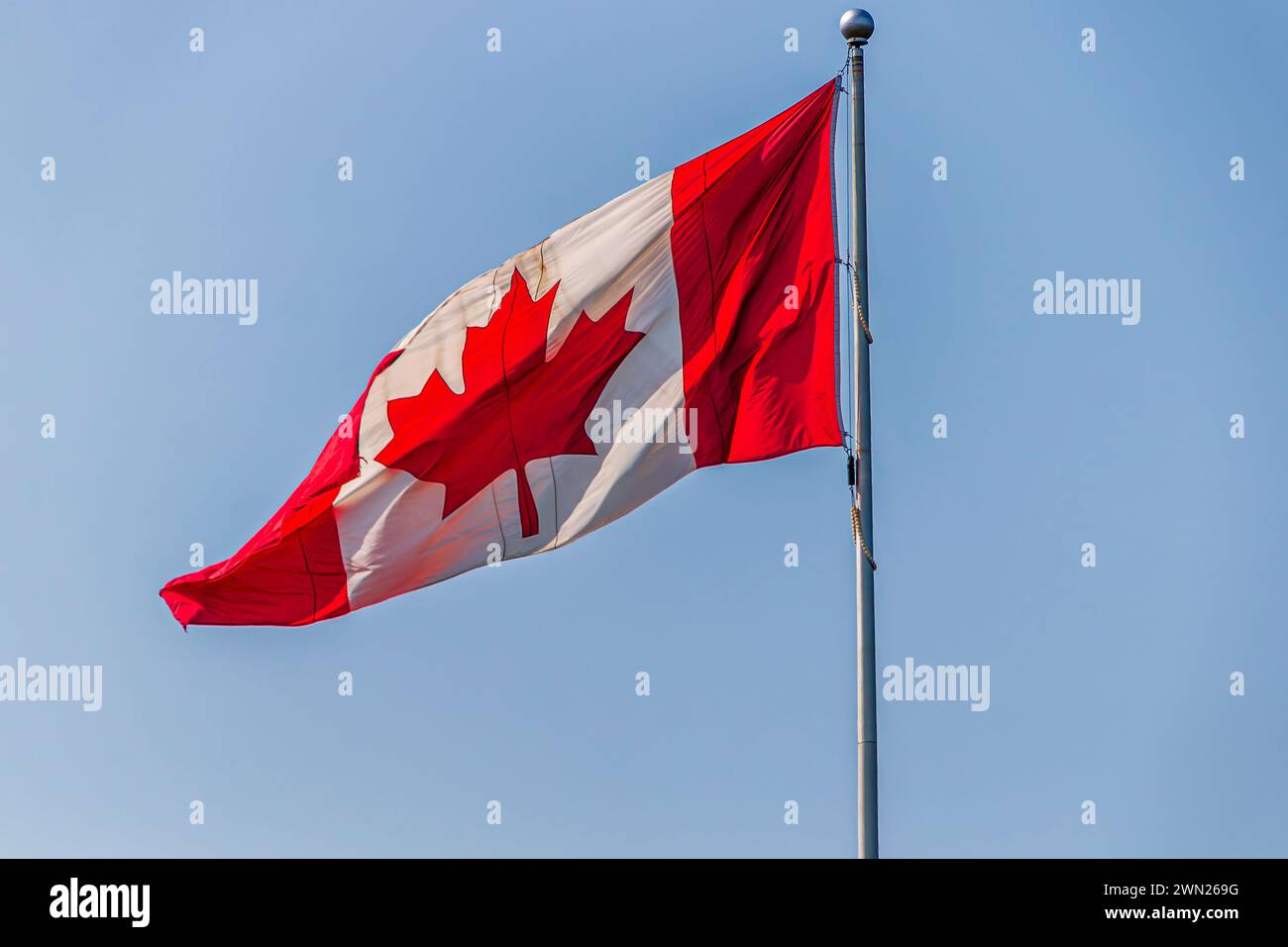 Waving Canadian flag against the blue sky Stock Photo