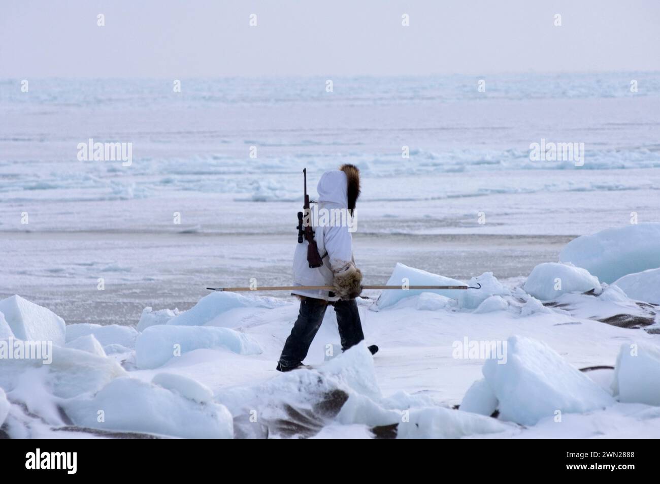 Inupiaq hunter Alan Lane Uqpiksaun seal hunting on open lead water at the point of Point Hope Tigia Arctic Alaska Stock Photo