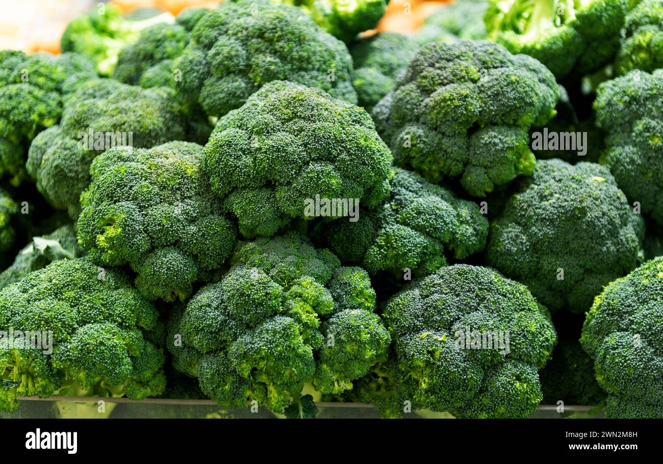 Full frame fresh broccoli sprouts for background Stock Photo