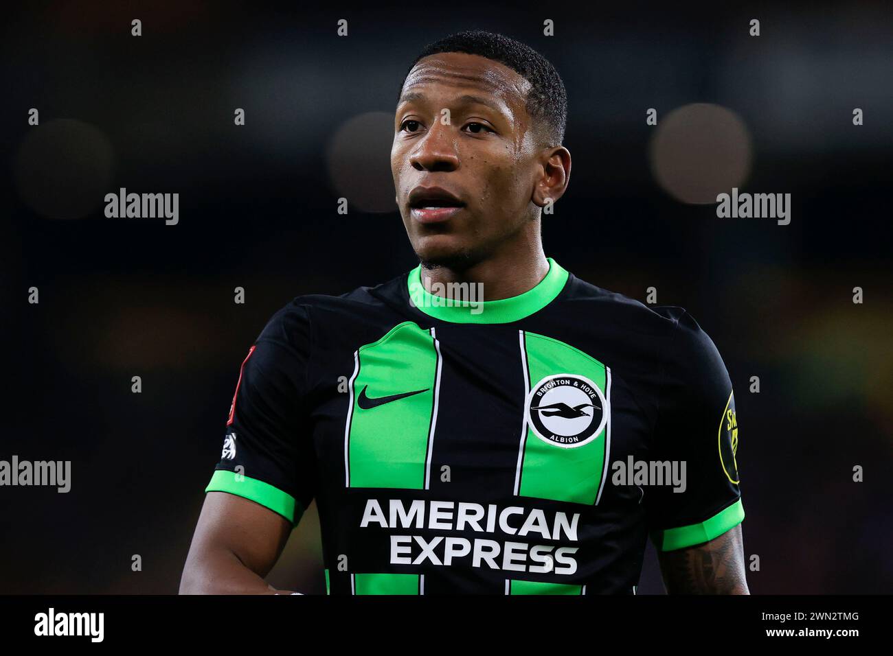 pervis-estupinan-2024-hi-res-stock-photography-and-images-alamy