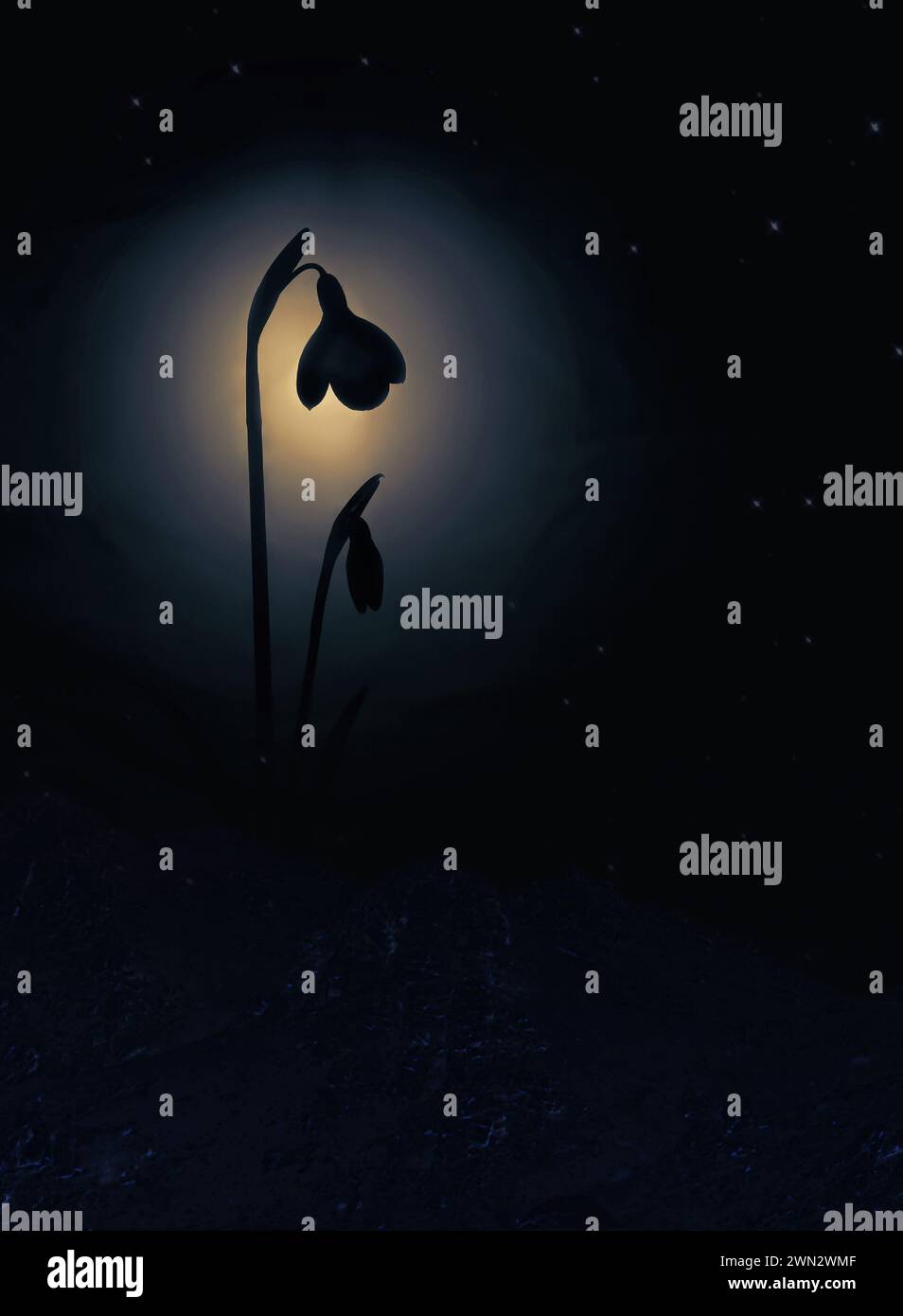 Full moon in bloom hi-res stock photography and images - Alamy