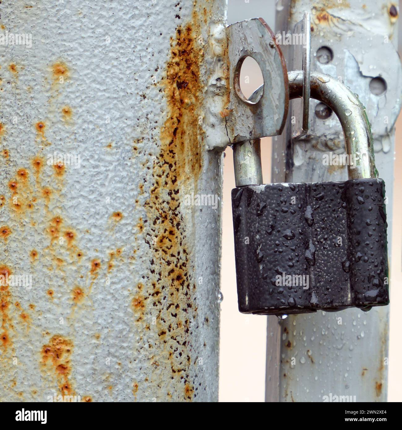 Small closed padlock hanging on the hinges Stock Photo