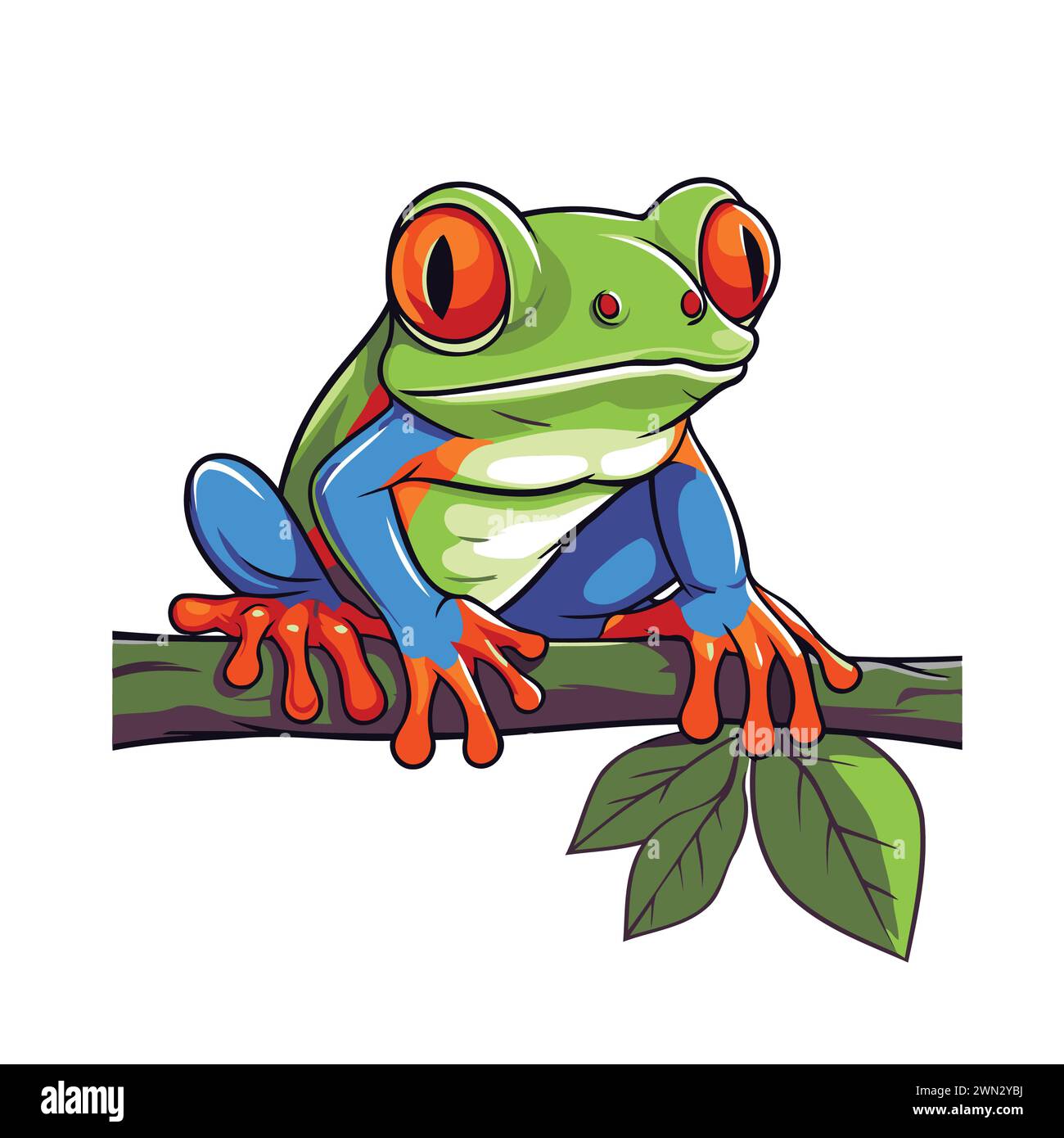 Red eyed tree frog Stock Vector Images - Alamy