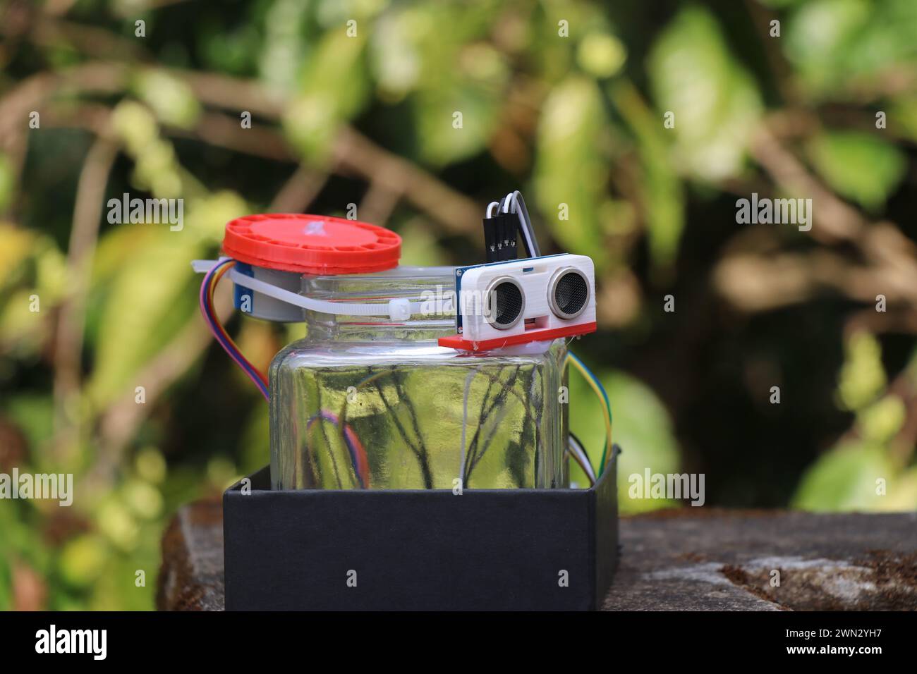 Automatic food dispenser for fish aquarium that dispenses tiny amounts of food when the sensor detects obstacles Stock Photo