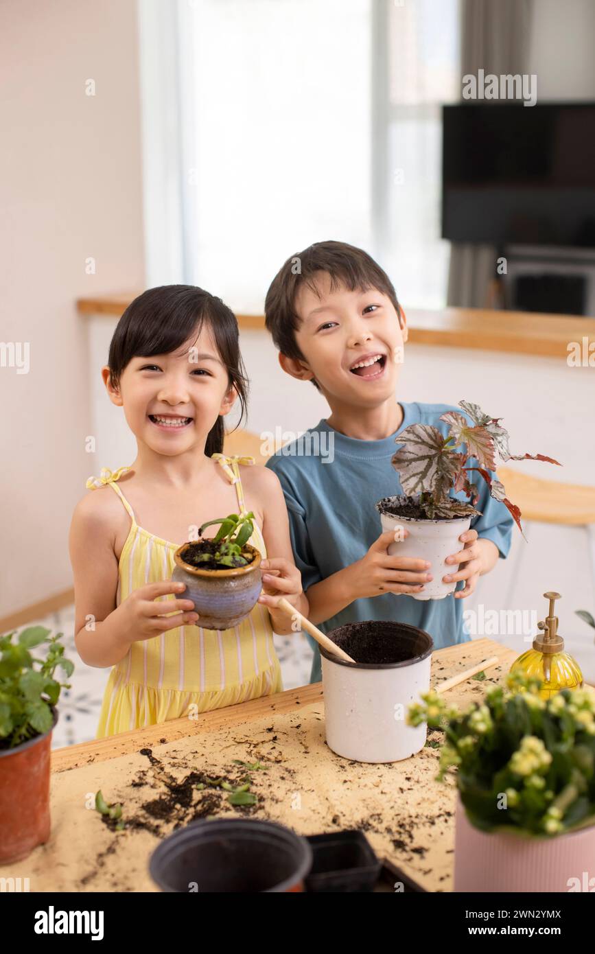 Cute children planting potted plant at home Stock Photo - Alamy