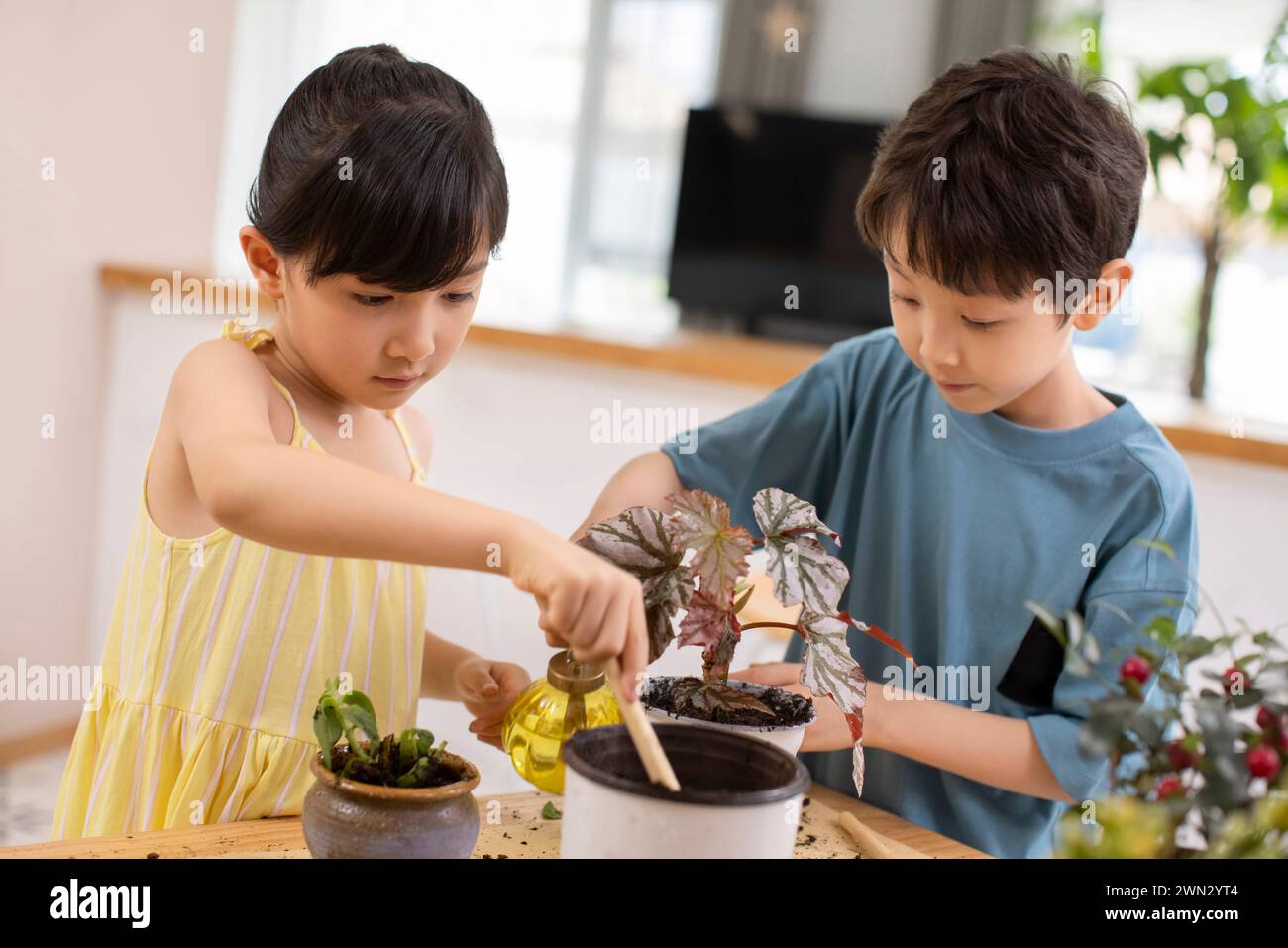 Cute children planting potted plant at home Stock Photo