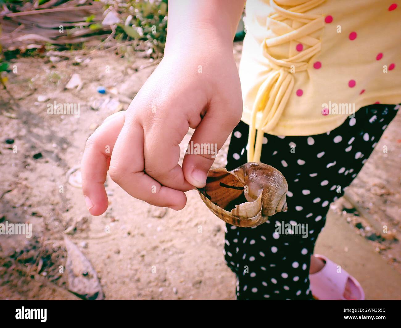 River Snail Shell with Kid Stock Photo