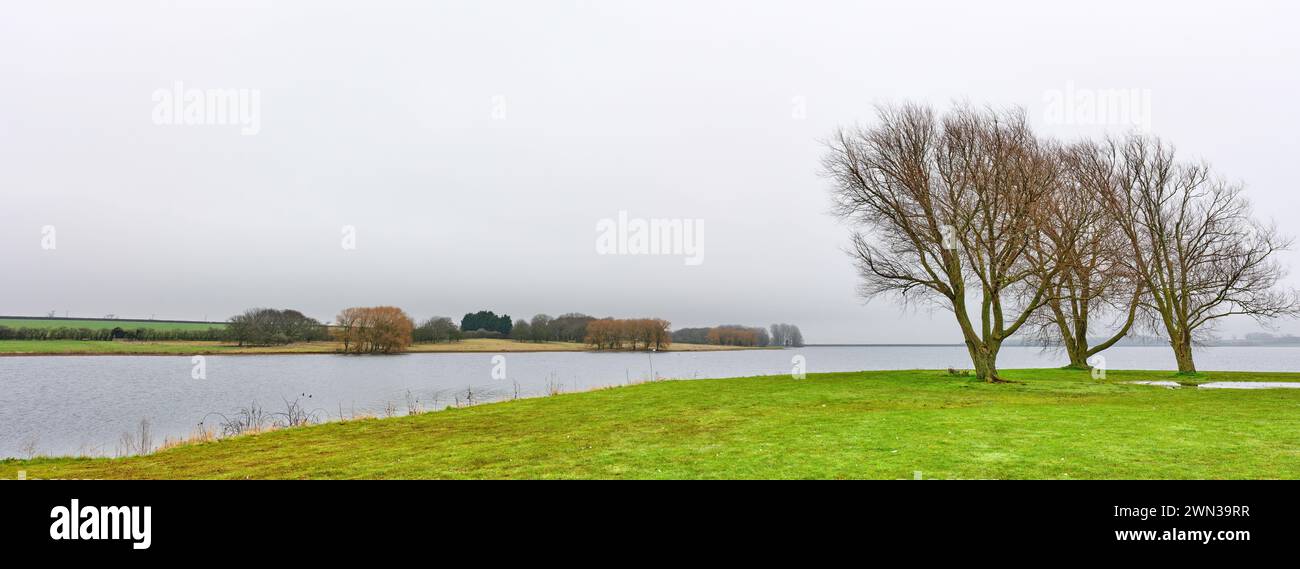 Clump of trees on the shore of a lake on a, misty, dreary day in winter. Stock Photo