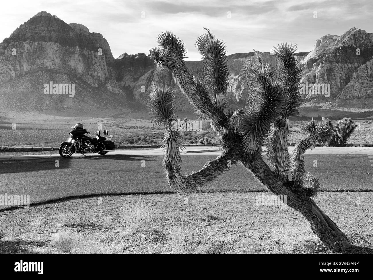 Desert Landscape with motorcycle, mountains and a joshua tree in Red Rocks Park, near Las Vegas, Nevada Stock Photo