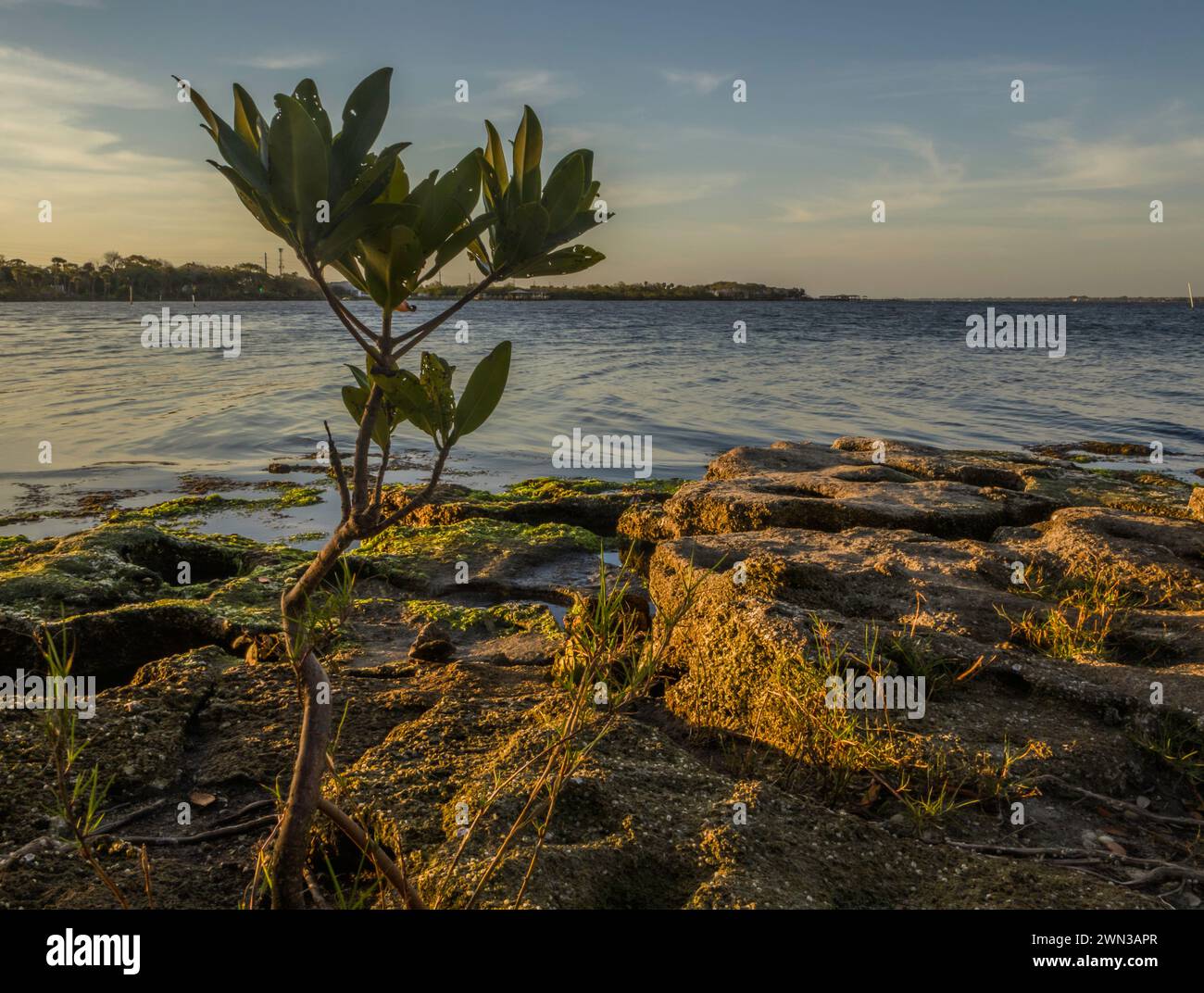 Dont give up stock photo alamy