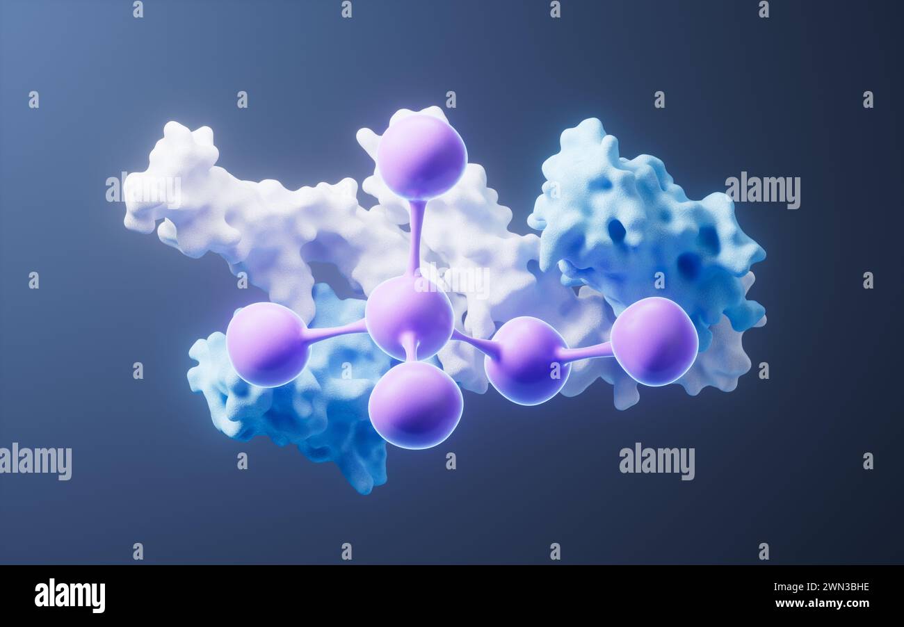 Collagen proteins skin hi-res stock photography and images - Alamy